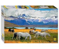 Пазл "Лошади в национальном парке. Чили" (1000 элементов)