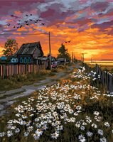 Картина по номерам "Запах скошенной травы и ромашек" (400х500 мм)