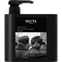 Шампунь для волос "Для нормальных волос" (500 мл)