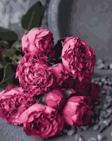 Картина по номерам "Малиновый акцент" (400х500 мм)