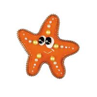 Набор для вышивания "Брошь. Морская звездочка" (70х70 мм)