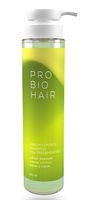 Шампунь для волос "Pro Bio Hair Sebum Control Shampoo" (350 мл)
