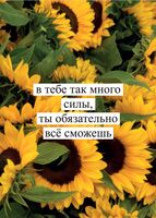 Открытка "Подсолнухи. В тебе так много силы"