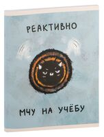 Тетрадь полуобщая в клетку "КОТОшмель" (48 листов)