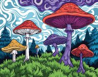 Картина по номерам "Грибочки" (400х500 мм)