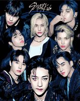 Картина по номерам "Stray Kids" (400х500 мм)