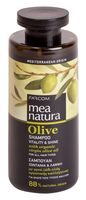 Шампунь для волос "Olive. Для всех типов" (300 мл)