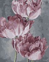 Картина по номерам "Нежные тюльпаны" (400х500 мм)