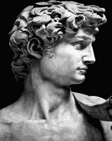 Картина по номерам "Голова Давида. Микеланджело" (400х500 мм)