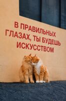 Открытка "Ты - искусство"