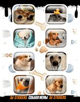 Набор 3D наклеек "Собаки мемы"
