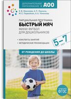 Парциальная программа "Быстрый мяч". Мини-футбол для дошкольников. 5-7 лет