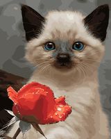 Картина по номерам "Сиамский котёнок" (400х500 мм)