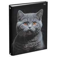 Тетрадь со сменным блоком "Кот" (160 листов)