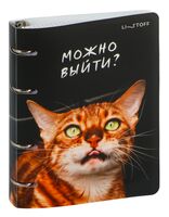 Тетрадь со сменным блоком "Котики" (100 листов)