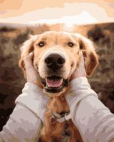 101022523 0 картины по номерам могилев