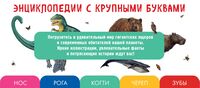 Все динозавры с крупными буквами. Все животные с крупными буквами. Комплект из 2 книг