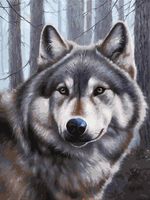 Картина по номерам "Волк" (300х400 мм)