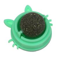 Кошачья мята (6х6 см)