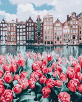 Картина по номерам "Амстердам в цвету" (400х500 мм)