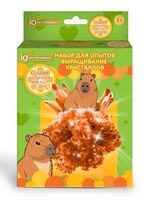 Набор для выращивания кристаллов "Капибара"