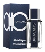 Туалетная вода для мужчин "Ferragamo" (50 мл)