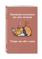 Авторский блокнот "Вселенная исполнила все мои желания. Теперь мы оба в шоке" (В6)