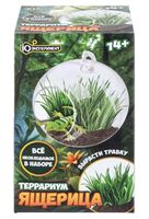 Набор для выращивания растений "Террариум. Ящерица"