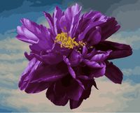Картина по номерам "Фиолетовый бутон" (400х500 мм)