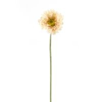 Цветок искусственный "Гербера кремовая" (570 мм)