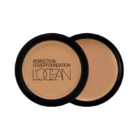 Консилер для лица "Perfection Cover Foundation" тон: 43, Mud brown