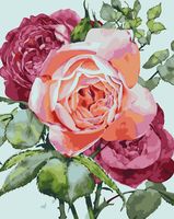 Картина по номерам "Садовые розы" (400х500 мм)