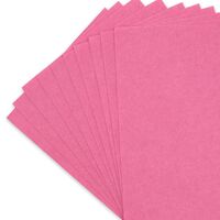 Фетр листовой мягкий (20х30 см; светло-розовый; 10 листов)