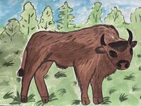 Открытка "Зубр" (Коробки храбрости)