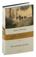 В стальных грозах