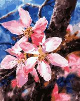 Картина по номерам "Цветки вишни" (400х500 мм)