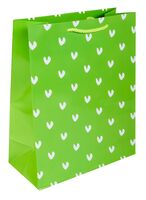 Пакет бумажный подарочный "Зеленый в галочку" (33х26х13 см)