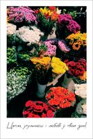 Паштоўка "Цяпла і любові"