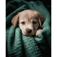 Картина по номерам "Милый щенок в пледе" (400х500 мм)