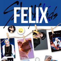 Подарочный набор "Феликс. Stray kids Karma"