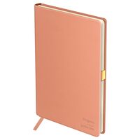 Ежедневник недатированный "Visvim. Pink" (А5)